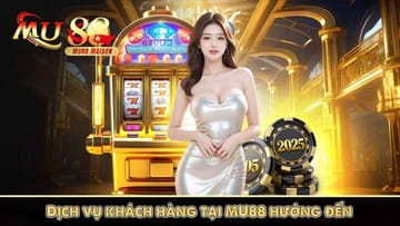 Suporte ao cliente premium